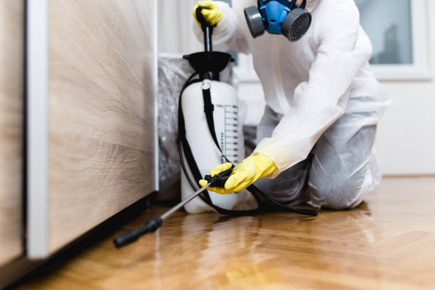 Best Bed Bug Extermination  in Shepherd, MI