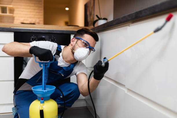 Best Wildlife Control Services  in Shepherd, MI
