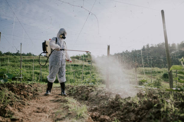 Best Mosquito Control Services  in Shepherd, MI