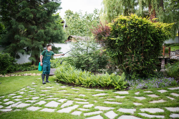 Best Best Pest Control Companies  in Shepherd, MI