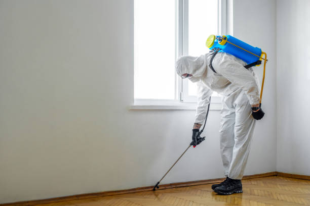 Best Mosquito Control Services  in Shepherd, MI