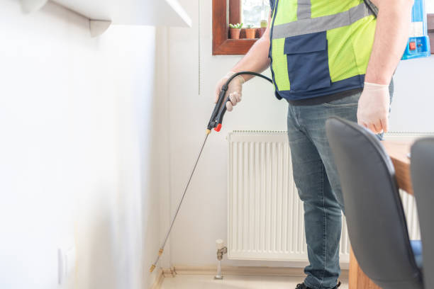 Best Affordable Pest Control Services  in Shepherd, MI