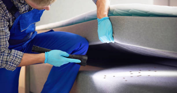 Pest Prevention Services in Shepherd, MI