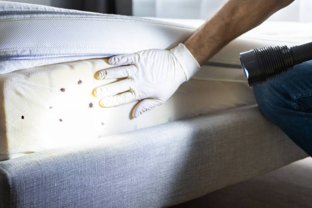 Best Best Pest Control Near Me  in Shepherd, MI