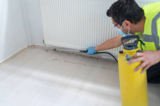 Best Cockroach Control Services  in Shepherd, MI